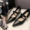 Single Shoes Women's Spring and Autumn New Temperament Mary Jane Shoes Pointed Thick Heel Medium Heel Women's Shoes