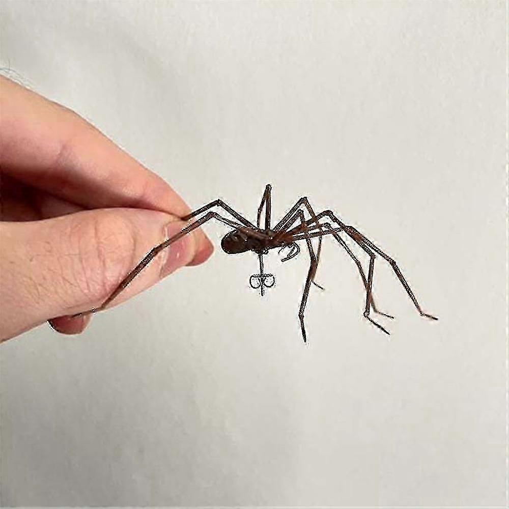 Giant Spider Earrings Halloween Carnival Stud Earrings