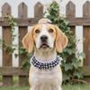 Стиль Веранда Домашний питомец Собака Садовые украшения Набор одежды