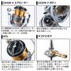 Daiwa 21 Freems LT3000-C