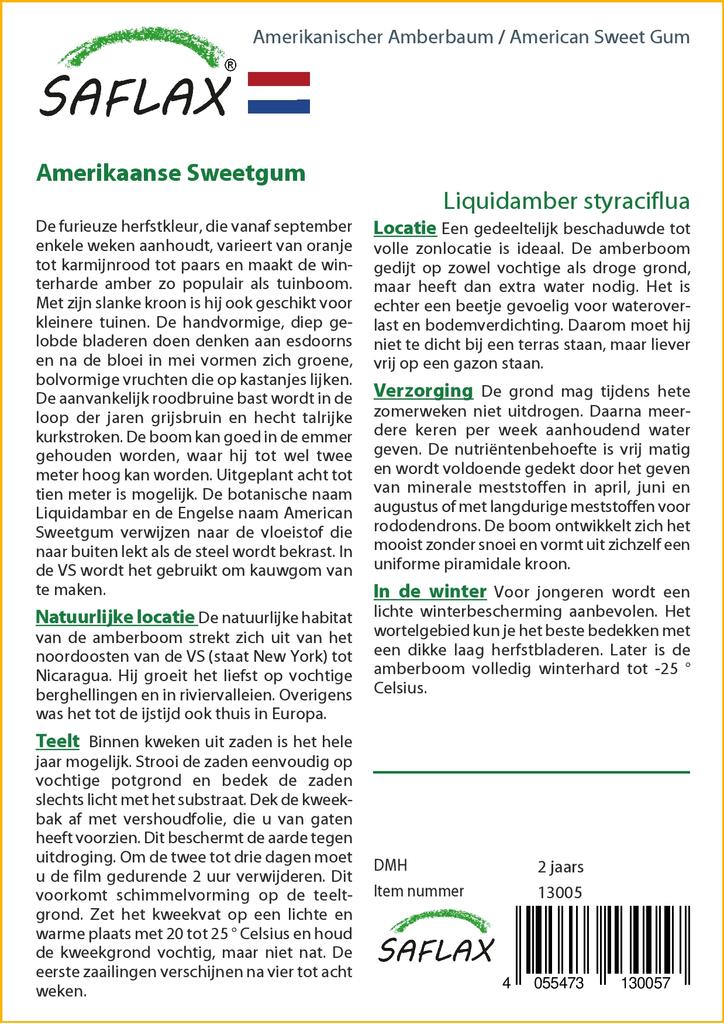 SAFLAX American Sweet Gum - 100 семян - Liquidamber styraciflua