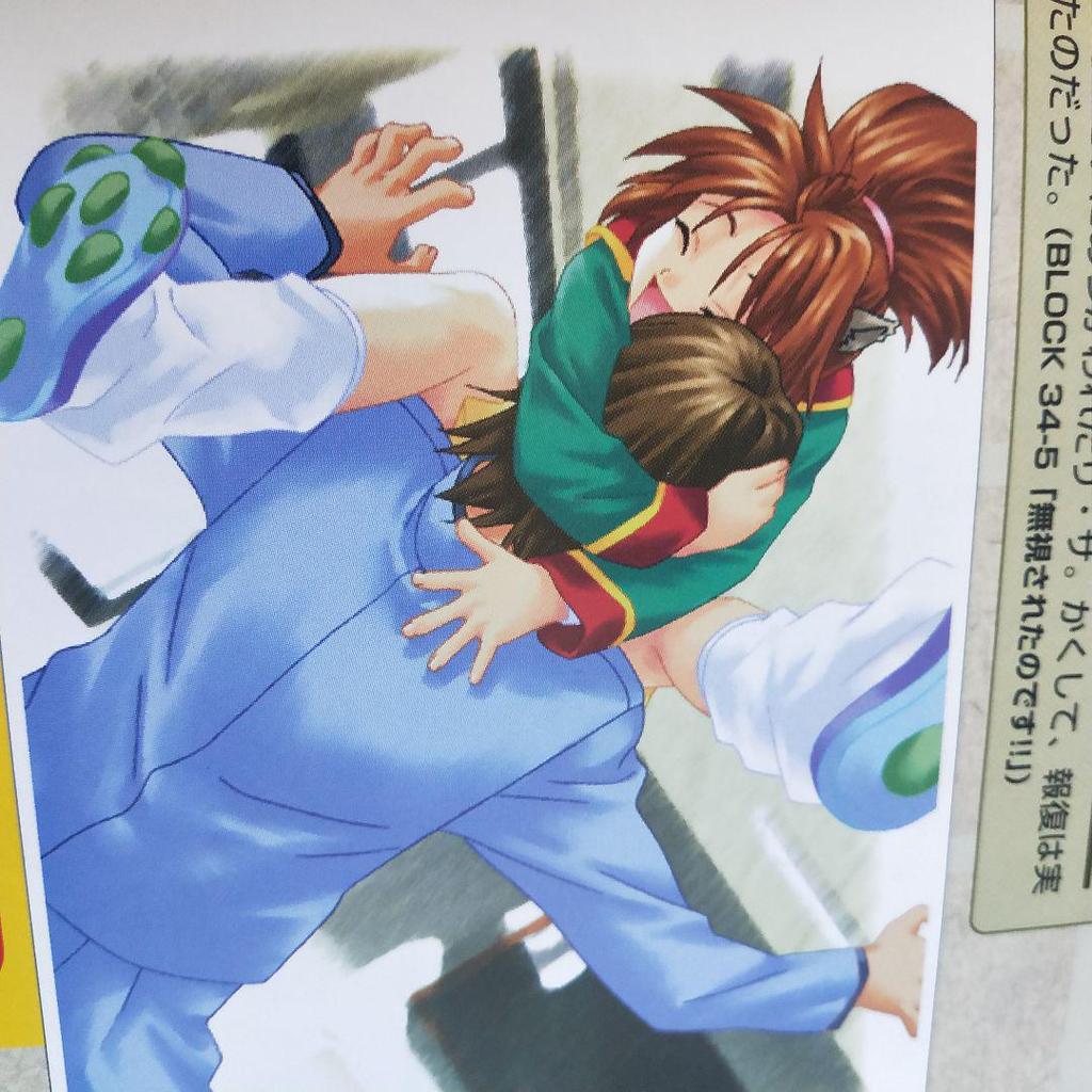 [USED] Super rare book, art book, strategy guide, visual fan book, Yunohana L's Season, 4 volumes