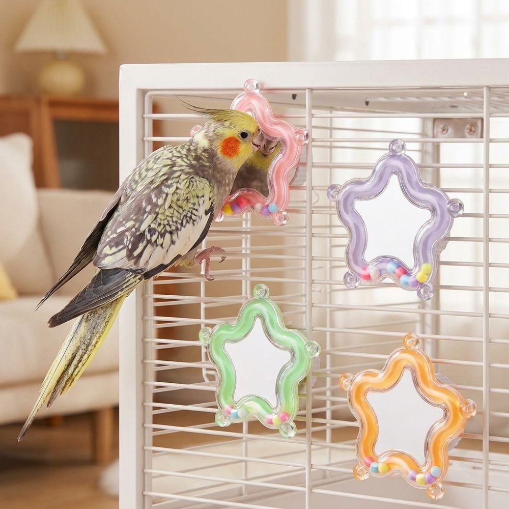 Spinner Rattle Star Rotating Parrot Mirror Toy Mirror Parrot Interactive Toy Small Parrot
