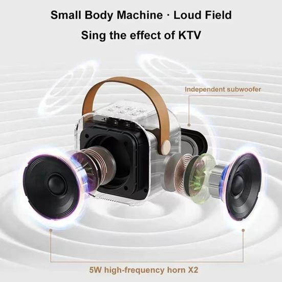 Мини-караоке-машина с 2 беспроводными микрофонами, преобразователем голоса, стереозвуком, портативной Bluetooth-совместимой портативной колонкой с подсветкой