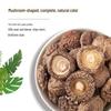 Guang Qiyuan Premium Dried Goods & Herbal Ingredients