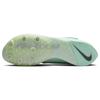 Nike Air Zoom Long Jump Elite Mint Foam Volt Unisex Sneakers Green Cave-Purple DR9924-300