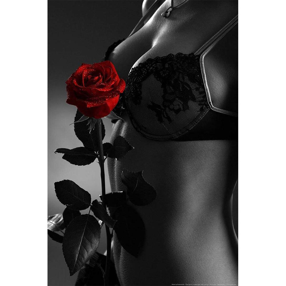 Sexy Woman Nude Posters and Prints Portrait Canvas Painting Red Rose Pictures Wall Art for Living Room Home Decor No Frame