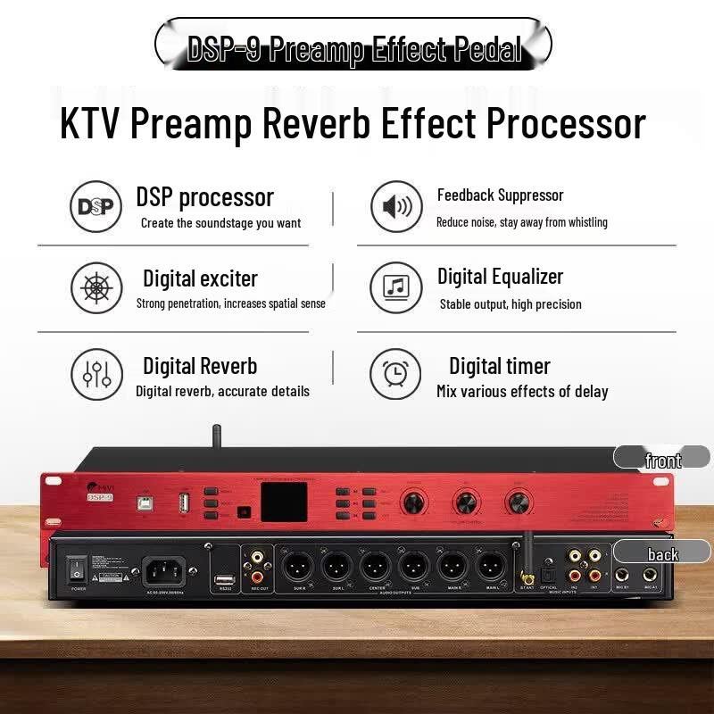 HiVi DS12 12-inch KTV Speaker System (CN version)