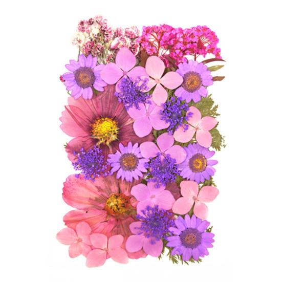 1 Set Dried Pressed Flowers Kit Colorful Natural Flowers DIY Art Crafts Supplies Resin Jewelry Epoxy Mold Candle Soap Vase Making Nail Card