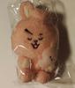 [USED] BT21 Hug Plush Toy COOKY BTS Jungkook