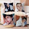 Хёнджин Подушка Подарок Украшение для дома и офиса Спальня Диван Чехол на подушку для автомобиля 45х45