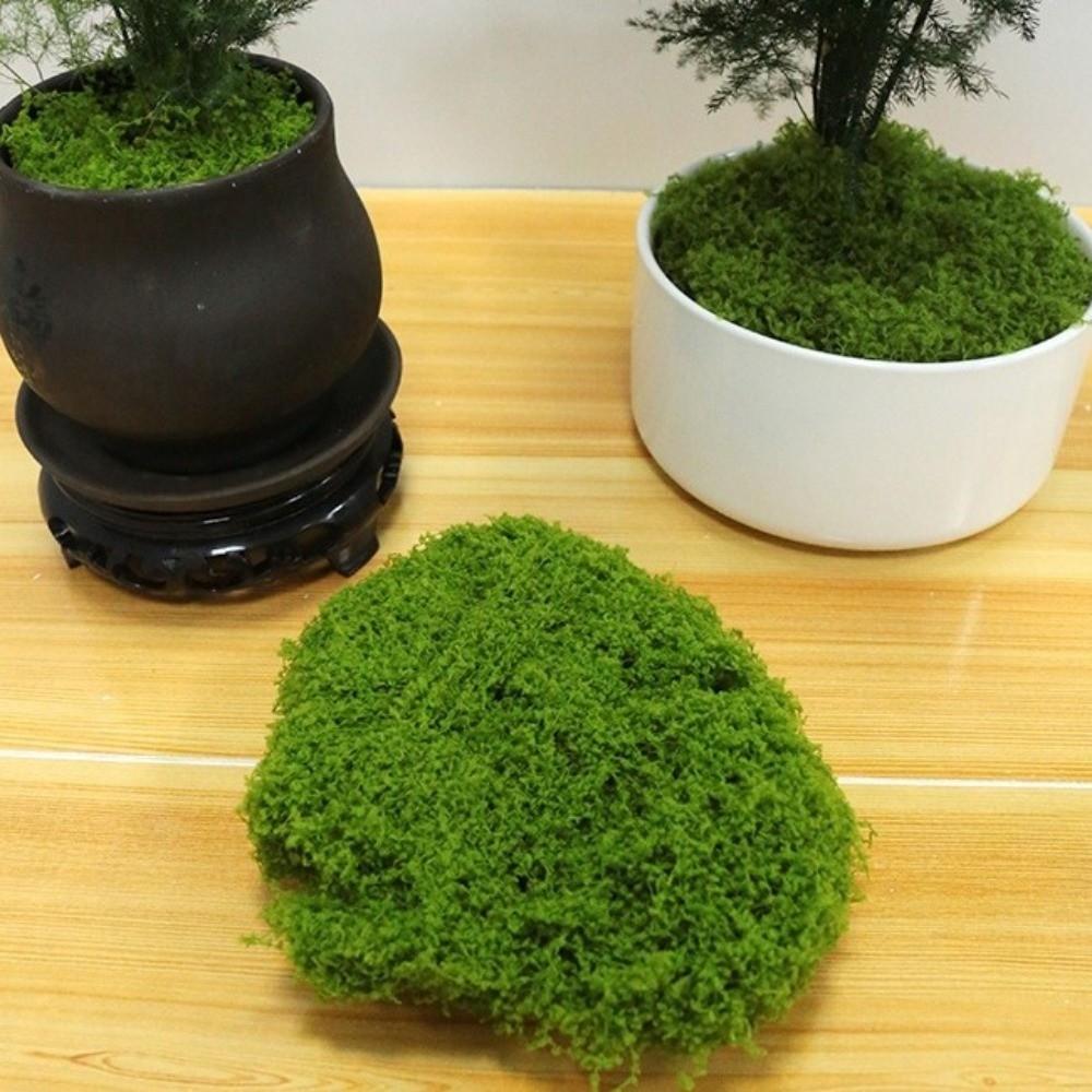 Реалистичная текстура Искусственные мховые растения DIY Поделки Симуляция Зеленый мох Бонсай