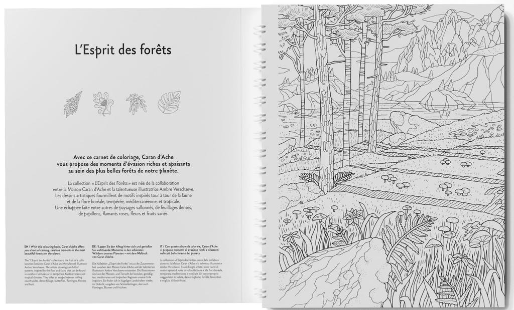 Каран Даш Раскраска Лес Книжка-раскраска 0454-802