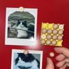 Reusable Egg Tray Fridge Magnet Egg Shape Fridge Magnet Cute Photo Holder Magnet  Office Board