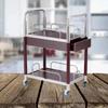 Modern 2-Tier Mobile Serving Trolley