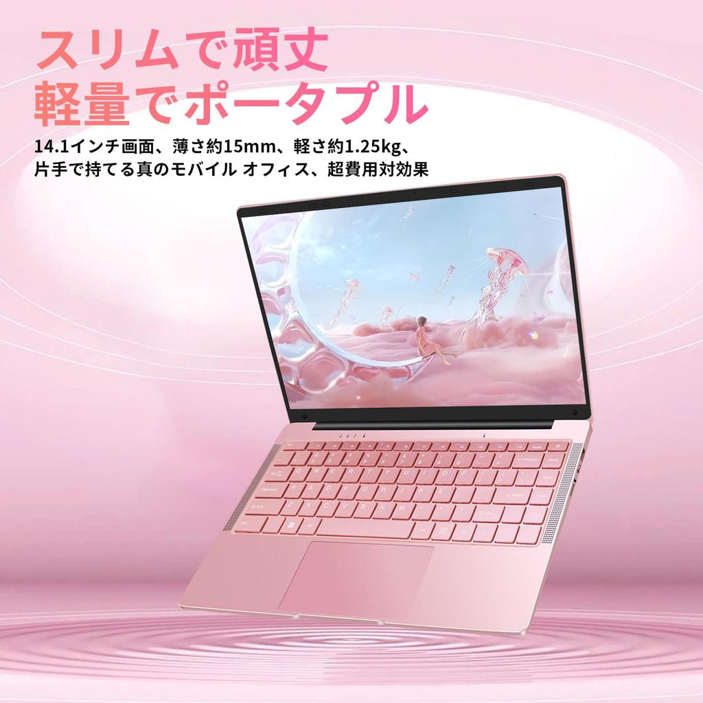Ноутбук ESBOOK 11 Pro MS Office IPS LCD 1920 x 1080 FHD Дисплей с камерой Тонкий ПК Ноутбук ЦП Не требуется настройка 8 ГБ памяти Беспроводная локальная сеть SSD 8 часов