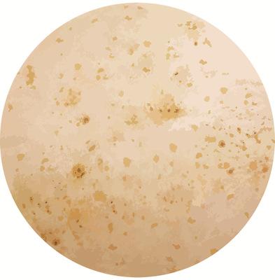 Best Selling Pizza Wrap Tortilla Round Blanket