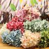 Artificial Flower Realistic Not Wither No Watering Non-fading Exquisite Scene Layout Wedding Bouquet Simulation Hydrangea for Living Room