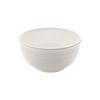 Japanese Style Melamine Noodle and Soup Bowl