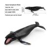 Sperm Whale Marine Animal Model Simulation Sea Life Figure Collection Whale Figurines  Home Decor