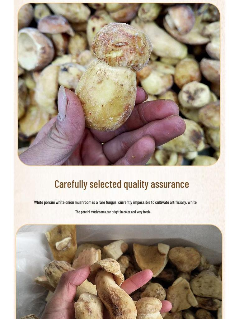 Yunnan Specialty Frozen White Boletus Mushroom for Hot Pot and Culinary Delicacies