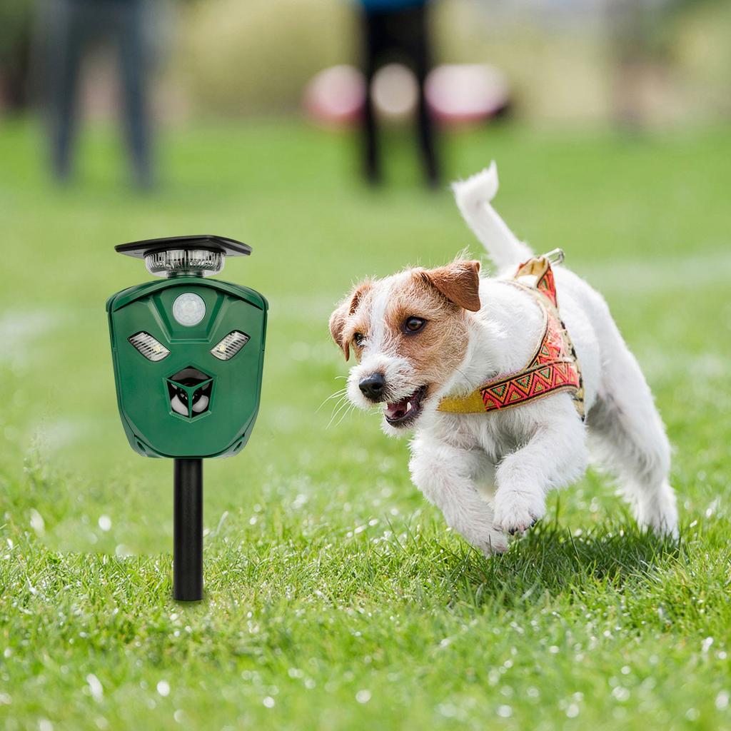 360-градусный солнечный свет птица животное трехсторонний для собак и кошек, собака