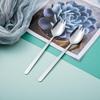 ZISIZ Multipurpose Stainless Steel Fork Spoon