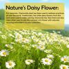 Chamomile extract capsules, natural supplement, 1100 mg per serving, suitable for both men and women.