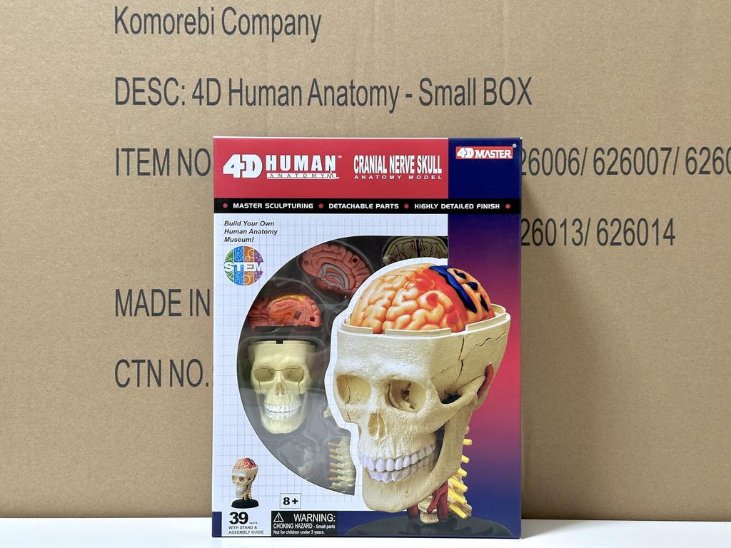 4D Puzzle Human Anatomy Model, Cranial Nerve Skull, 626005, Fame Master, 4D Master Educational Toy, STEM