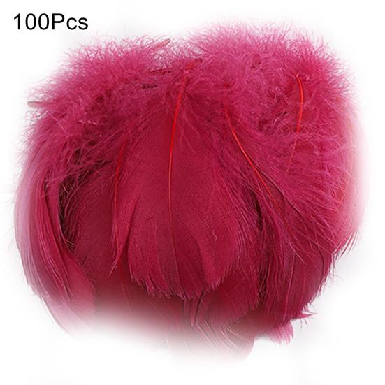 100Pcs Interesting Feathers Environmentally Friendly Improve Hands-on Ability Natural Plumes