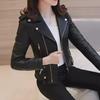 Ayollar uchun qisqa PU teri motosikl kurtkasi - Slim Fit, Koreyscha uslub, Bahor/Kuz