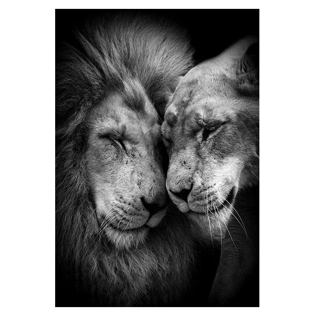 Animals Black And White Lions Love Family Prints Poster Canvas Painting Modern Wall Art Pictures Living Room Bedroom Home Decor