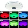36W/60W Music Led Ceiling Light Lamp RGB Flush Mount Round Starlight APP Bluetooth Music Lamp Dimmable Light with Remote Control