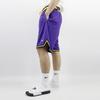 Nike NBA Statement DNA Los Angeles Lakers Баскетбольные тренировочные шорты мужские фиолетовые AV3537-504
