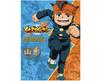 ТЕЛЕВИЗИОННАЯ АНИМАЦИЯ Inazuma Eleven ВОСПОМИНАНИЯ: 2008>2011 (Коллекция оригинальных работ/Книга иллюстраций)