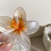 6cm Acrylic Gradient Frangipani Hair Clip Women Korean Sweet Shark Clip Hair Accessories