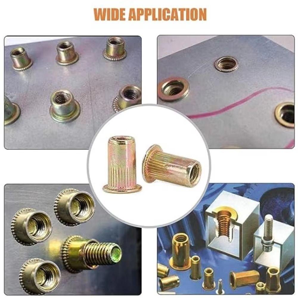 Flat Head Rivet Nut Zinc Plated Nutsert Cap M 3 - M 10 Threaded Rivet For Screw Bolt