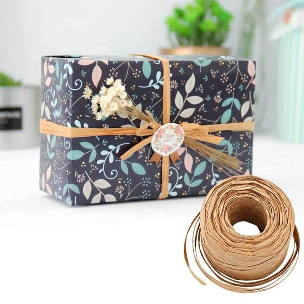 200M Paper Raffia Ribbon Cord Craft Twine Rope String DIY Chocolate