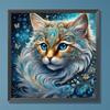 5D DIY Полный Круглый Дрель Алмазная Картина Драгоценный Кот Набор Домашний Декор Искусство Ремесло30x30см