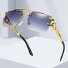 Stylish Frameless Leopard Square Sunglasses: Trendy Double-Beam Design for Men & Women