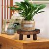 Wooden Flower Pot Stand Mini Decorative Stool Plant Stand Round Bonsai Succulents Display Stand for Garden Balcony Indoor