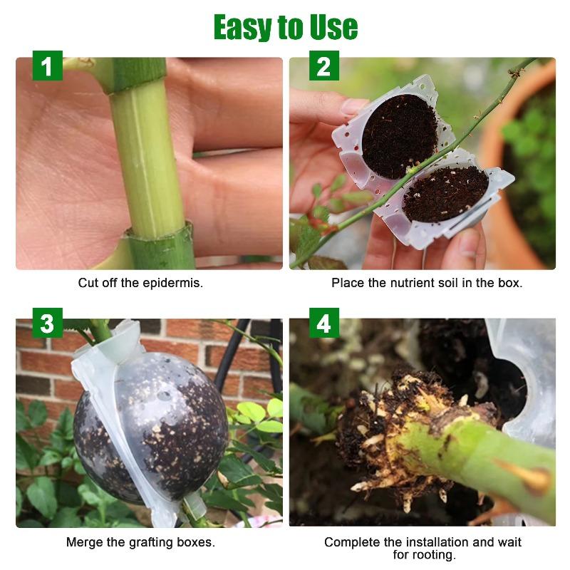 30/5pcs Plant Rooting Balls Grafting Rooting Box High Pressure Breeding Case Plant Root Growing Boxes for Garden Propagation