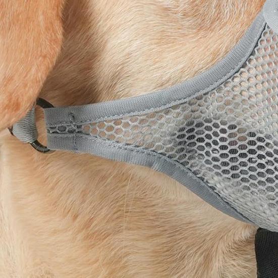 Намордник для собак средних и больших пород. Сетчатый намордник с передним отверстием. Дышащий намордник для собак с регулируемым ремешком.