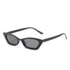 Small Frame Sunglasses, Street Photography Personalized Cat Eye Glasses, Jelly Sunglasses For Women
