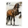 Handsome Horse Painting Canvas Poster Animals Wall Art Pictures for Living Room Bedroom Playroom Modern Home Decor