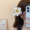 Korean Style Orchid Flower Hairpin Barrettes Bohemia Hairpins  Photo Props