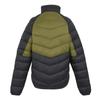 Regatta Mens Dalent Padded Jacket