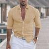 2024 New Men's Shirt Cotton Linen Fashion Casual Polo Neck Beach Shirt Long Sleeve Solid Hawaiian Holiday Shirts