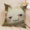 i-Inoue toro CUTE Cat Cushion Cover Soft Plush Fabric Double-Sided Printed Cushion Covers for All Seasons Home Decor