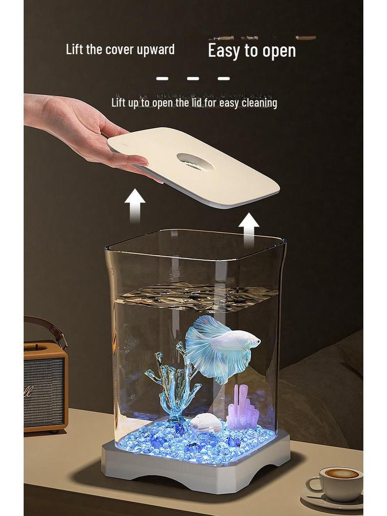 Compact Desktop Eco Fish Tank for Home and Office